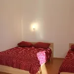 Radmila 아파트 브로다리카