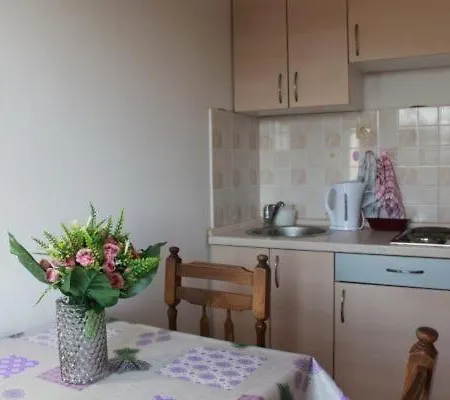 Apartment Radmila Brodarica (Sibenik-Knin)